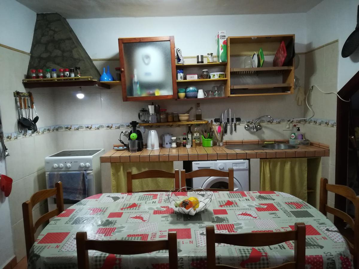 Elena'S Fair House Hostel Tesbabo Ngoại thất bức ảnh