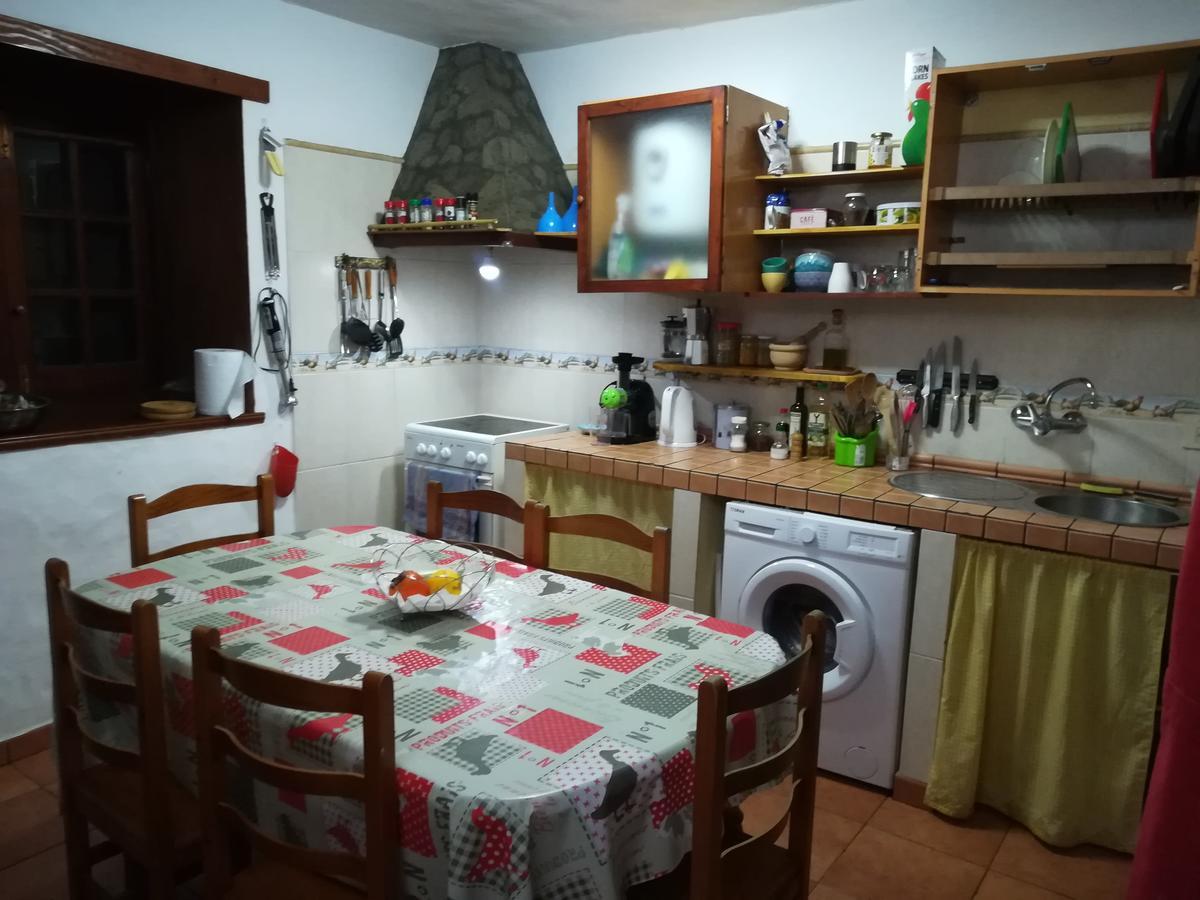 Elena'S Fair House Hostel Tesbabo Ngoại thất bức ảnh